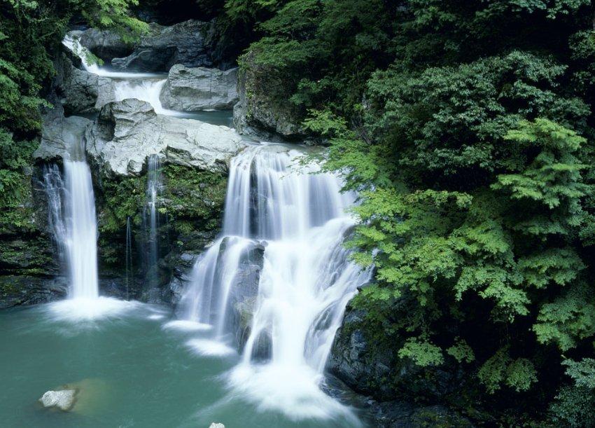 首届有趣人类喜剧节精彩开演 京东年货节重庆超体惊喜不断